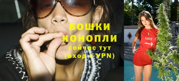 дмт Богородск
