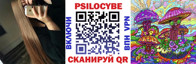 Купить где  Сосновый Бор  Галлюциногенные грибы Cubensis 